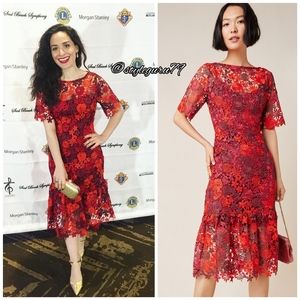 Anthropologie | Dresses | Nwt Anthropologie Brigitte Embroidered Midi Dress  | Poshmark